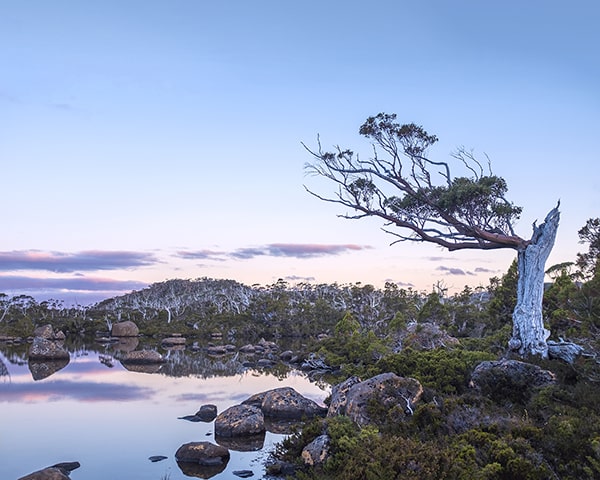 One of the glassy-still tarns at dusk. Mt. Field National Park, Tasmania, Australia